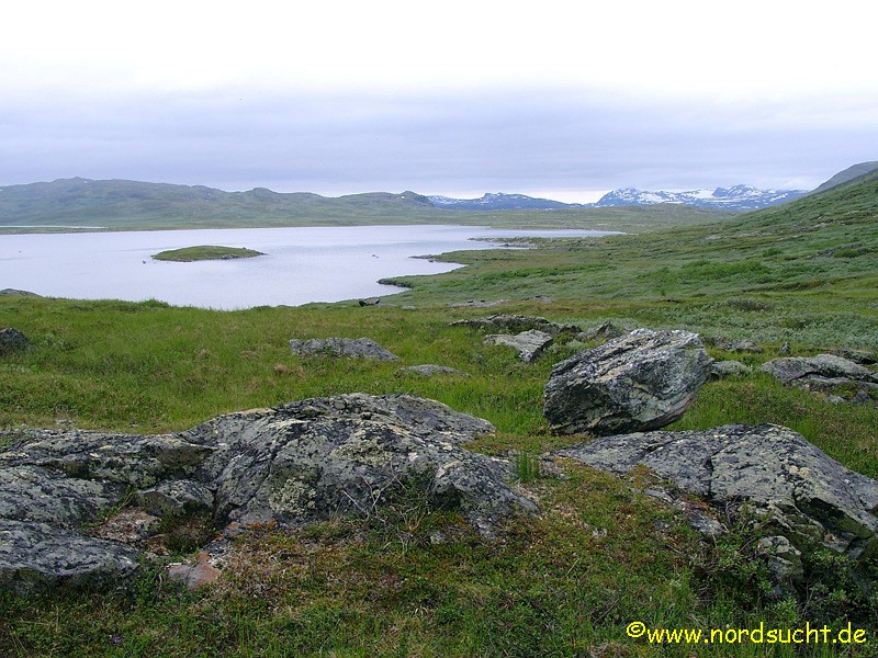 kungsleden014